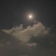 安嶋。さんのアイコン画像