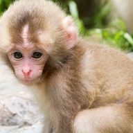 ENAさんのアイコン画像