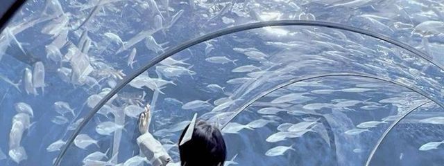 あてぃしてぃーしだし ‼️‼️さんの壁紙画像