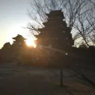 蒼空アーミーさんのアイコン画像