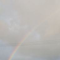 mfさんのアイコン画像