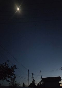 適当に思いついた小説を適当に乗せるとこ