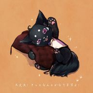 ファルル🤍☪️さんのアイコン画像