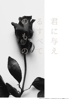 君に与えるすべてのもの