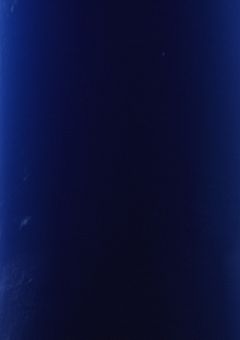 夏休み企画