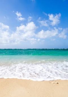 シックザール海賊団