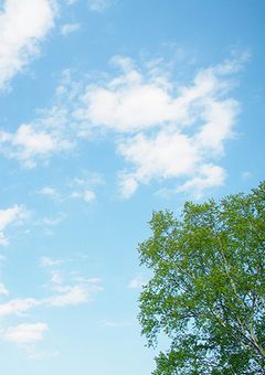 脅威の姉、脅威姫