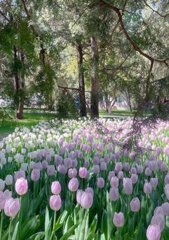 Neo cityの一角で