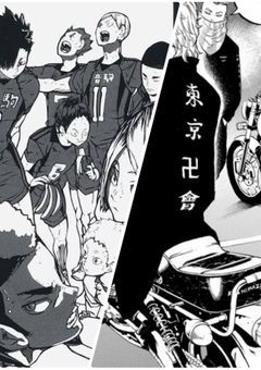 東卍の姉貴＝音駒のマネ