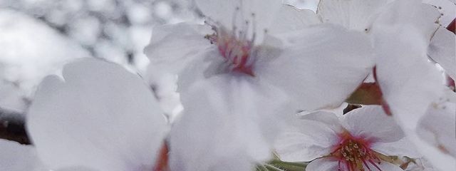 ゆう　さんの壁紙画像