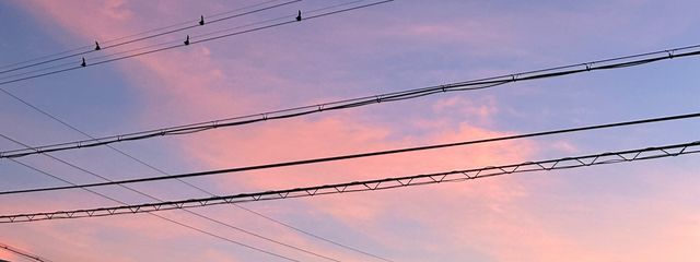 寧  々  .さんの壁紙画像