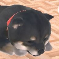 スペアさんのアイコン画像