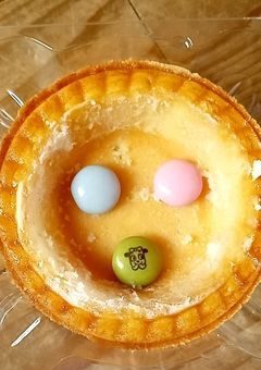 にゃんコロの雑談だよ〜