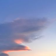 桜音。低浮上さんのアイコン画像