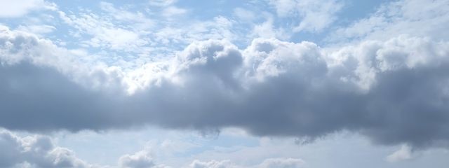 べべさんの壁紙画像