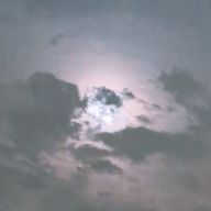 べべさんのアイコン画像