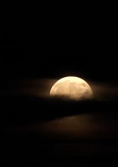 影踏み恋愛ホラー