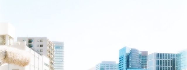 しぐれ_°·✉さんの壁紙画像