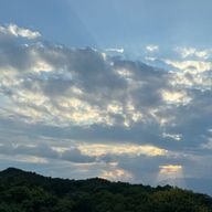 しぐれ_°·✉さんのアイコン画像