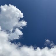 ぴっぴさんのアイコン画像