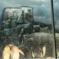 ナナシのＪ@2-2 12さんのアイコン画像