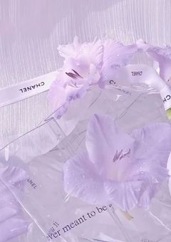 趣味部屋👻🦋☔️