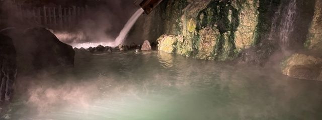 ただの変態パーリナイさんの壁紙画像