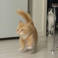 Cleoさんのアイコン画像