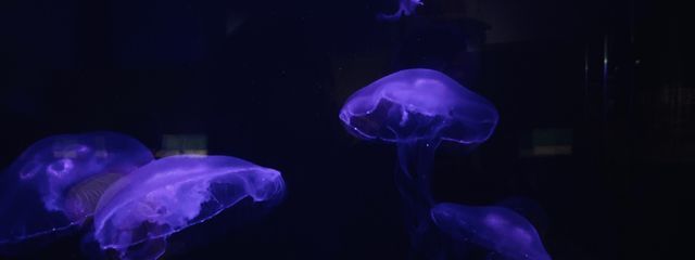 ๐ใโโ๐ชผ**ใใใใฎๅฃ็ด็ปๅ