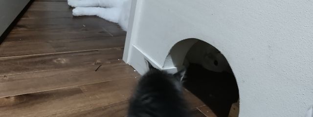 倫理@さんの壁紙画像