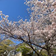 mocon_moconさんのアイコン画像