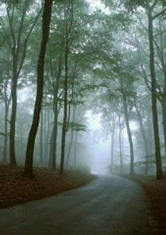Mist rain