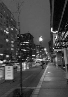 "王 様 の命令 は 絶 対"