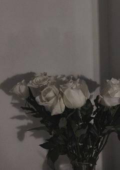 甘々 な最 年少溺 愛 中