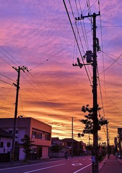 ド変態とど純粋