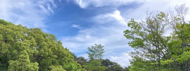 てんさんの壁紙画像