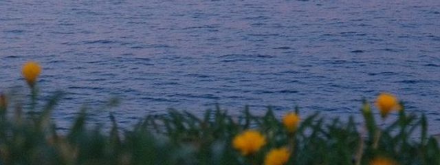 金木屋さんの壁紙画像