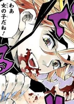 無限城の壁、私の盗撮写真で埋め尽くされてた件 。