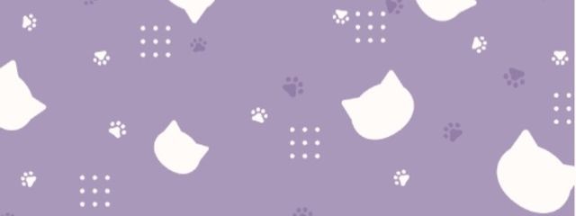 イカさんの壁紙画像