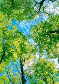 愛してるよ。愛してたよ。⛄️📗