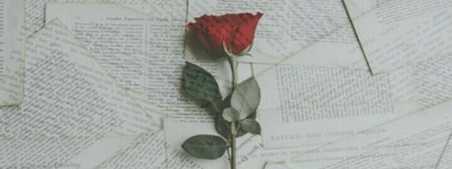 NIJIHA🥀💋さんの壁紙画像