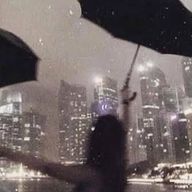 　서온さんのアイコン画像