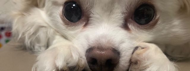 りぃ🫧さんの壁紙画像