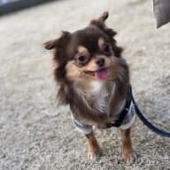 りぃ🫧さんのアイコン画像