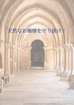 天然なお嬢様を守り抜け！！