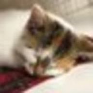 kiitarouさんのアイコン画像