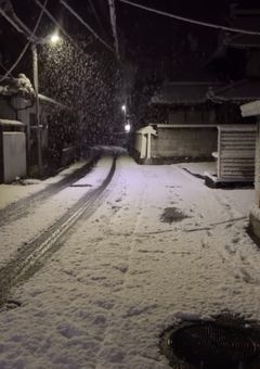 1 4 人 目 の 証 言 人  .