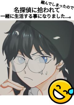 縮んでしまったので、名探偵に拾われて一緒に生活する事になりました...。