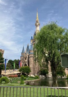 ディズニー写真集🐭♥️