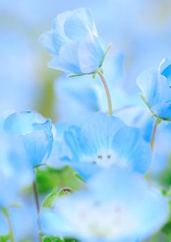 メンバーの1部が女の子だって！？！？